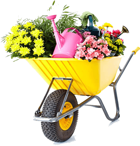 Why Choose Us Inner.png